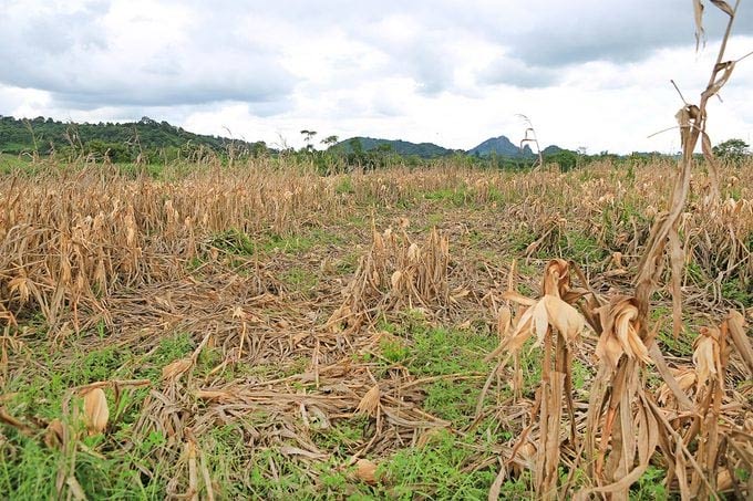 Little-known weather terms that may affect your area this year Picture 2