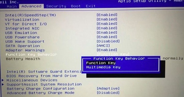Finding the cause of the Fn key being reversed (Fixed) Picture 7