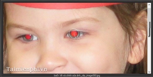 Fix red eye in photos with Ashampoo Red Picture 3