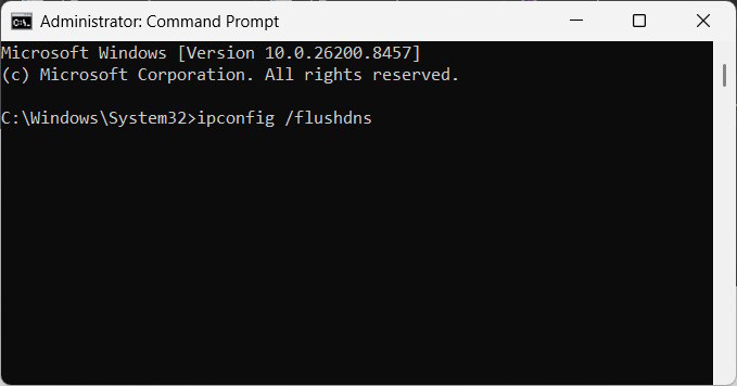 images 6 of Fix the 'Something went wrong 1076' error on Gemini.