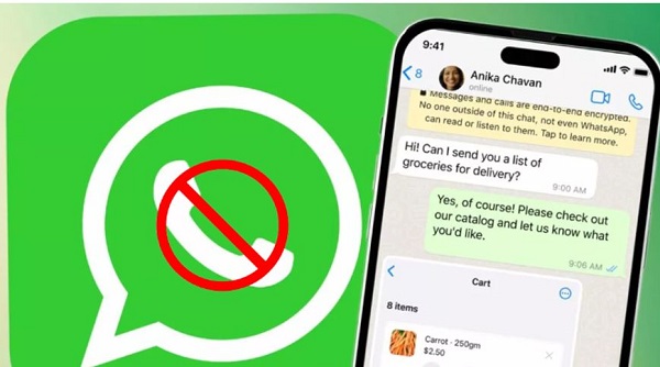 Fix WhatsApp registration error on iPhone Picture 3