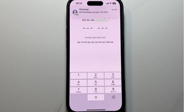 Fix WhatsApp registration error on iPhone Picture 9
