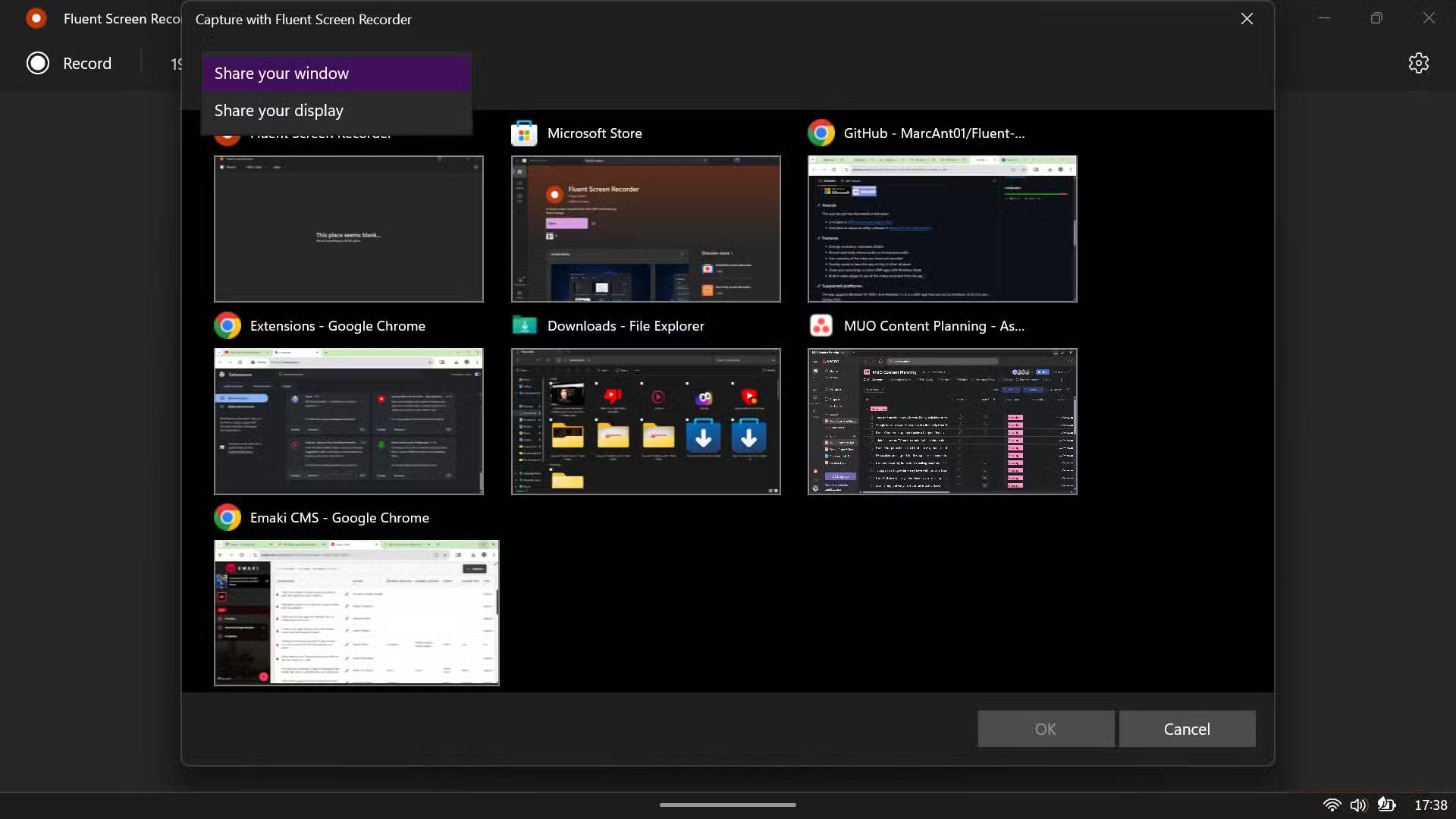 Fluent Screen Recorder Picture 2