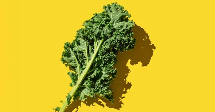 Foods good for teeth and gums dentists advise you not to ignore Picture 2