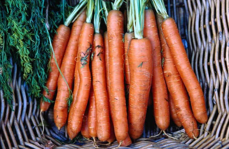 Foods good for teeth and gums dentists advise you not to ignore Picture 3