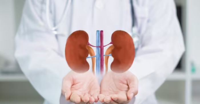 Foods that are bad for your kidneys Picture 1