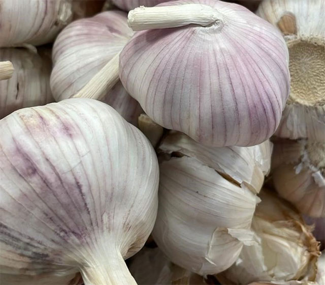 Garlic extract mouthwash brings unexpected antiseptic effect Picture 1