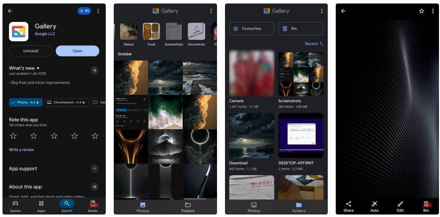 Google Gallery Picture 1