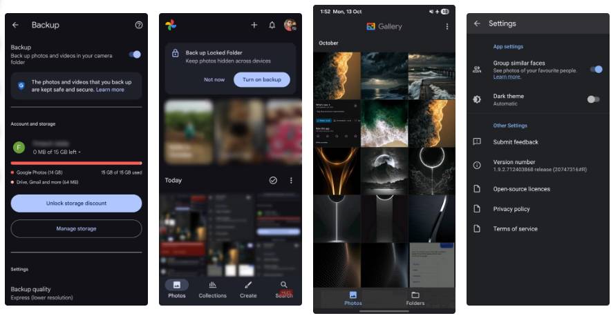 Google Gallery Picture 2