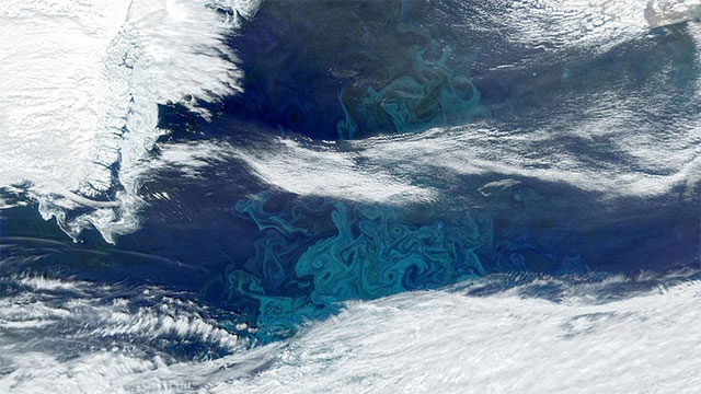 Greenland's Melting Ice Unexpectedly Nurtures Marine Life – New Discovery from NASA Picture 1