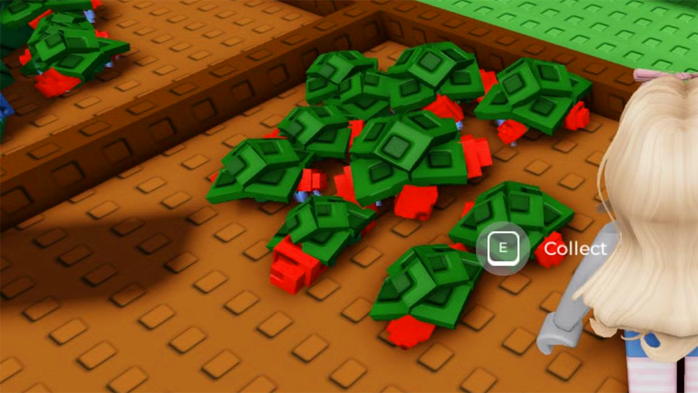 Grow a Garden: A Beginner's Guide Picture 2