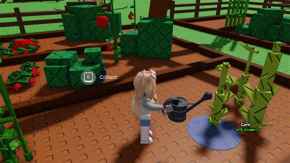 Grow a Garden: A Beginner's Guide Picture 5