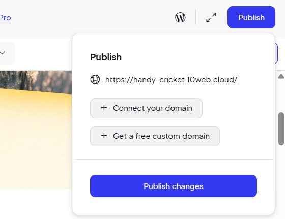 Picture 8 of Guide to creating a website using 10Web AI