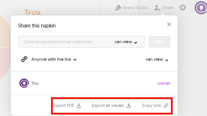 A guide to creating mind maps quickly using Napkin AI. Picture 12