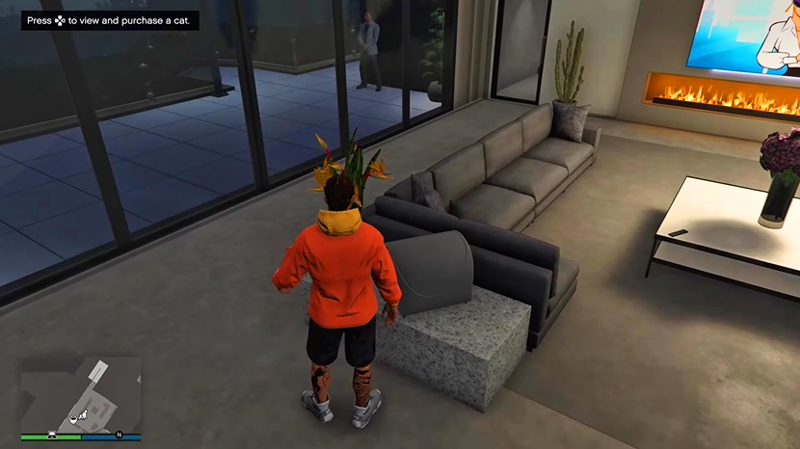 Guide to acquiring Pets in GTA Online Mansion Update Picture 1