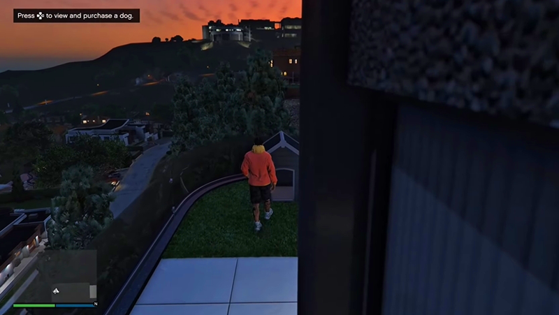 Guide to acquiring Pets in GTA Online Mansion Update Picture 2