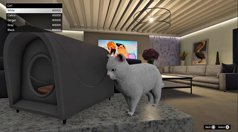 Guide to acquiring Pets in GTA Online Mansion Update Picture 3