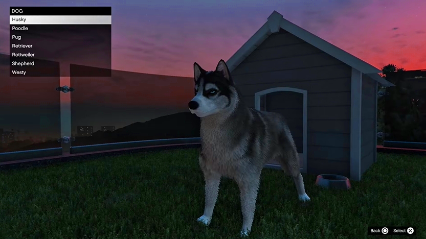 Guide to acquiring Pets in GTA Online Mansion Update Picture 5