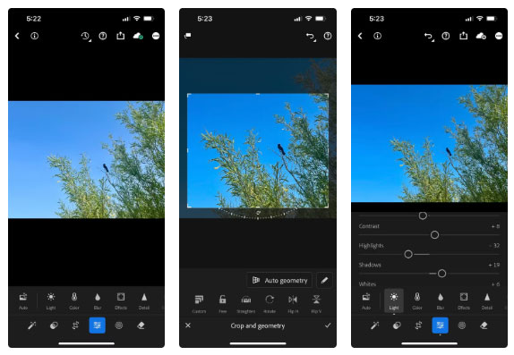 Guide to taking pictures of wild animals with your phone Picture 5