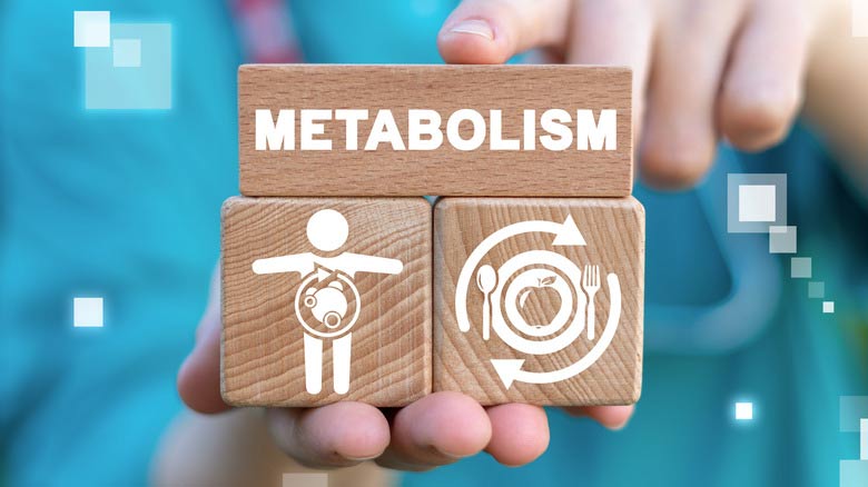 Habits that help boost metabolism Picture 2