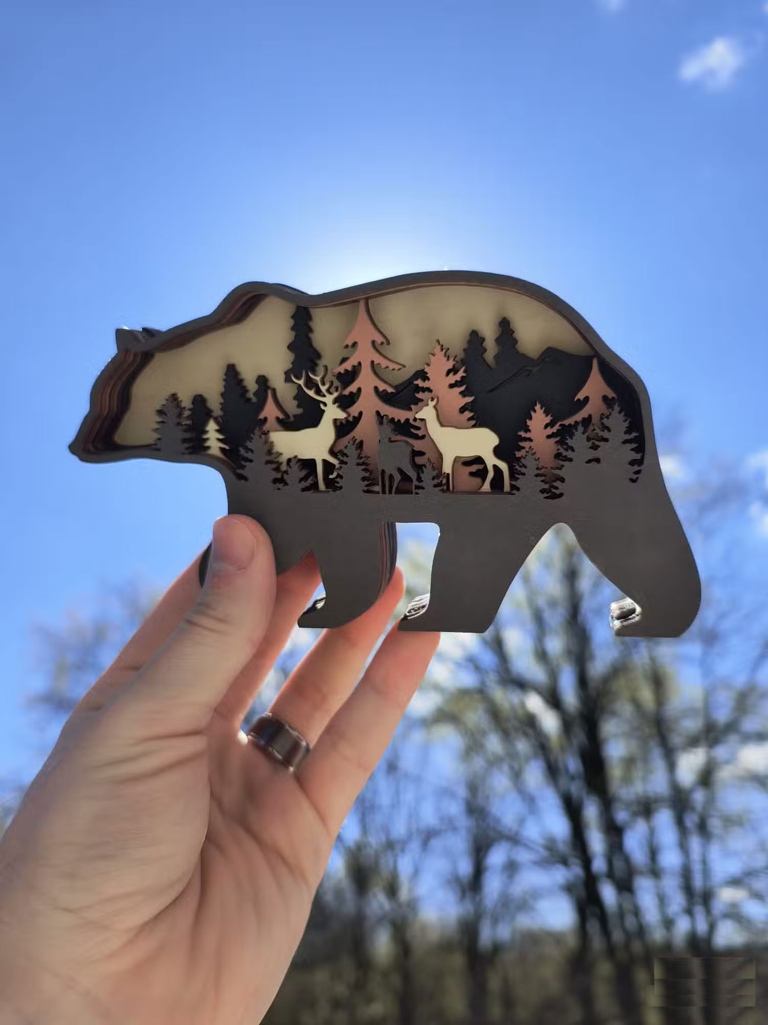 HDR on phones can be useless Picture 10