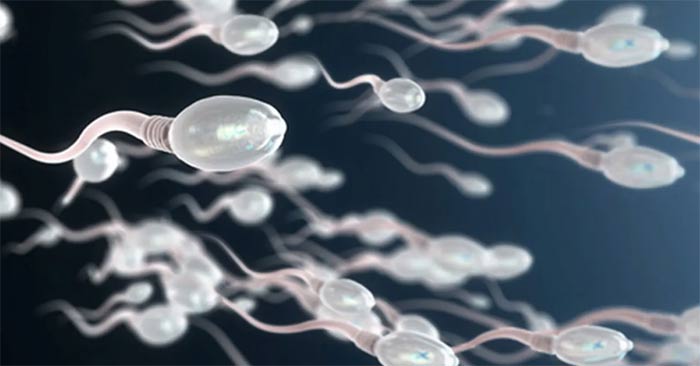 Hope for infertile couples: Sperm turned into tiny robots to deliver drugs into the body Picture 1
