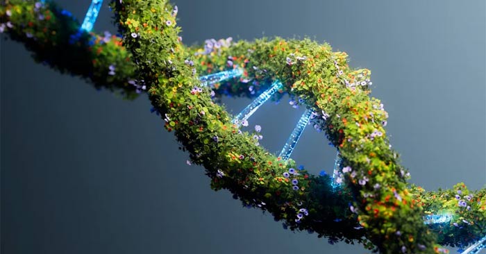 How long can DNA last? Picture 1