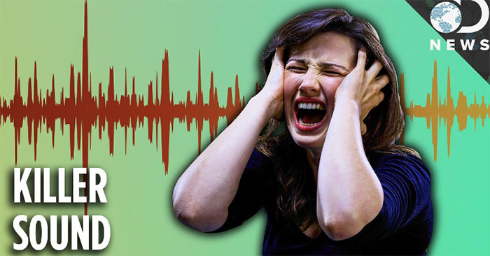 How loud can a sound be deadly? Picture 1