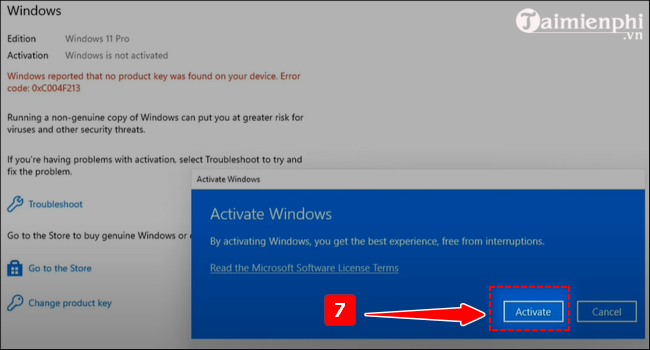 How to Active Windows 11, using FREE copyrighted Windows Picture 5