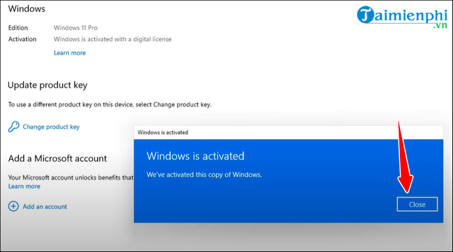 How to Active Windows 11, using FREE copyrighted Windows Picture 6