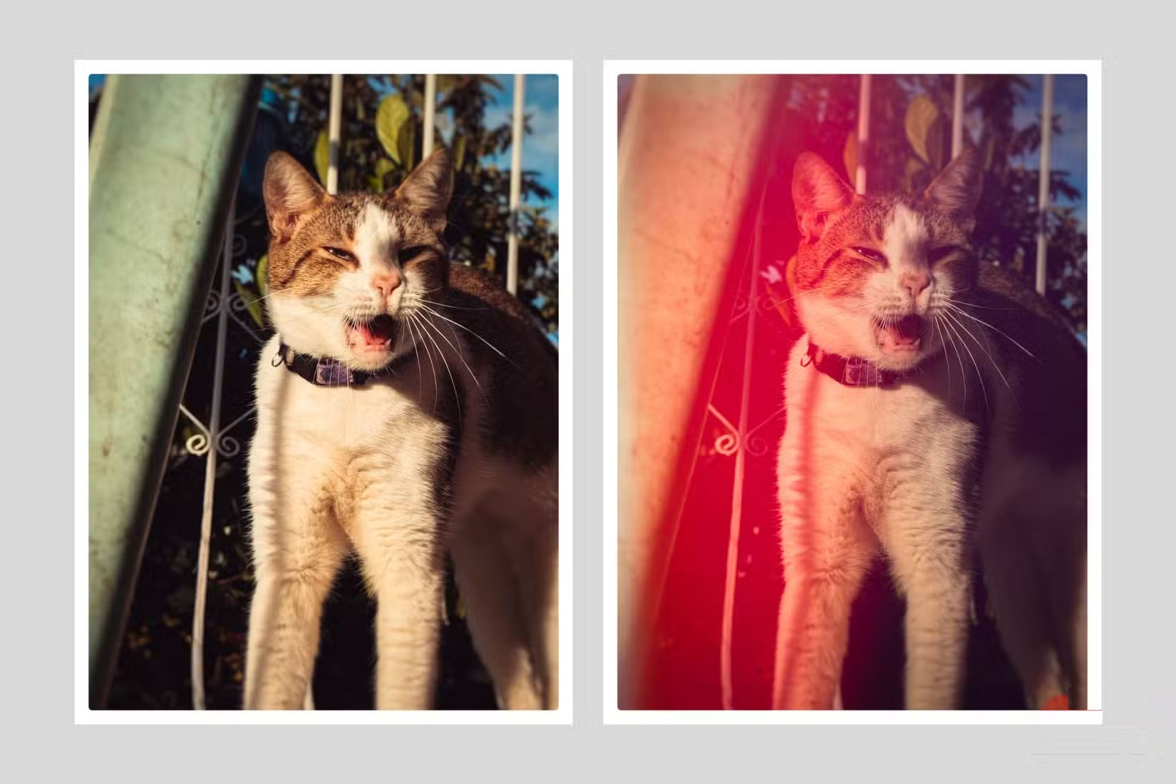 How to Add a Vintage Touch to Your Old Photos Picture 6