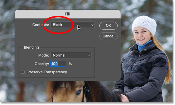 How to Add Falling Snow to Photos Using Photoshop Picture 4