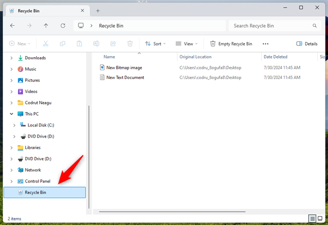 How to Add Recycle Bin to File Explorer Picture 10