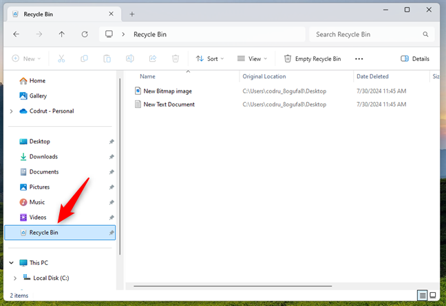How to Add Recycle Bin to File Explorer Picture 5