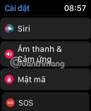 How to adjust Apple Watch volume, adjust Apple Watch volume Picture 4