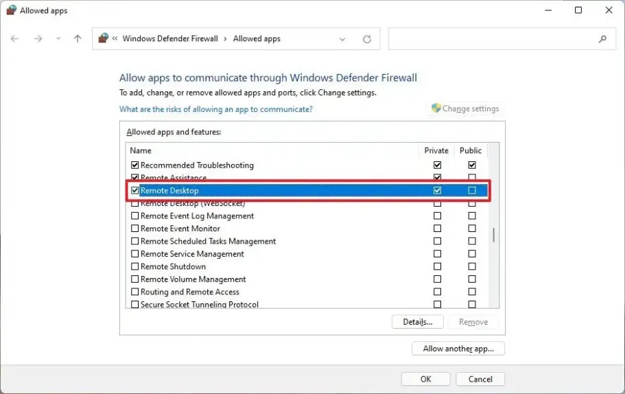 How to allow applications to access the Windows 11 firewall. Picture 3