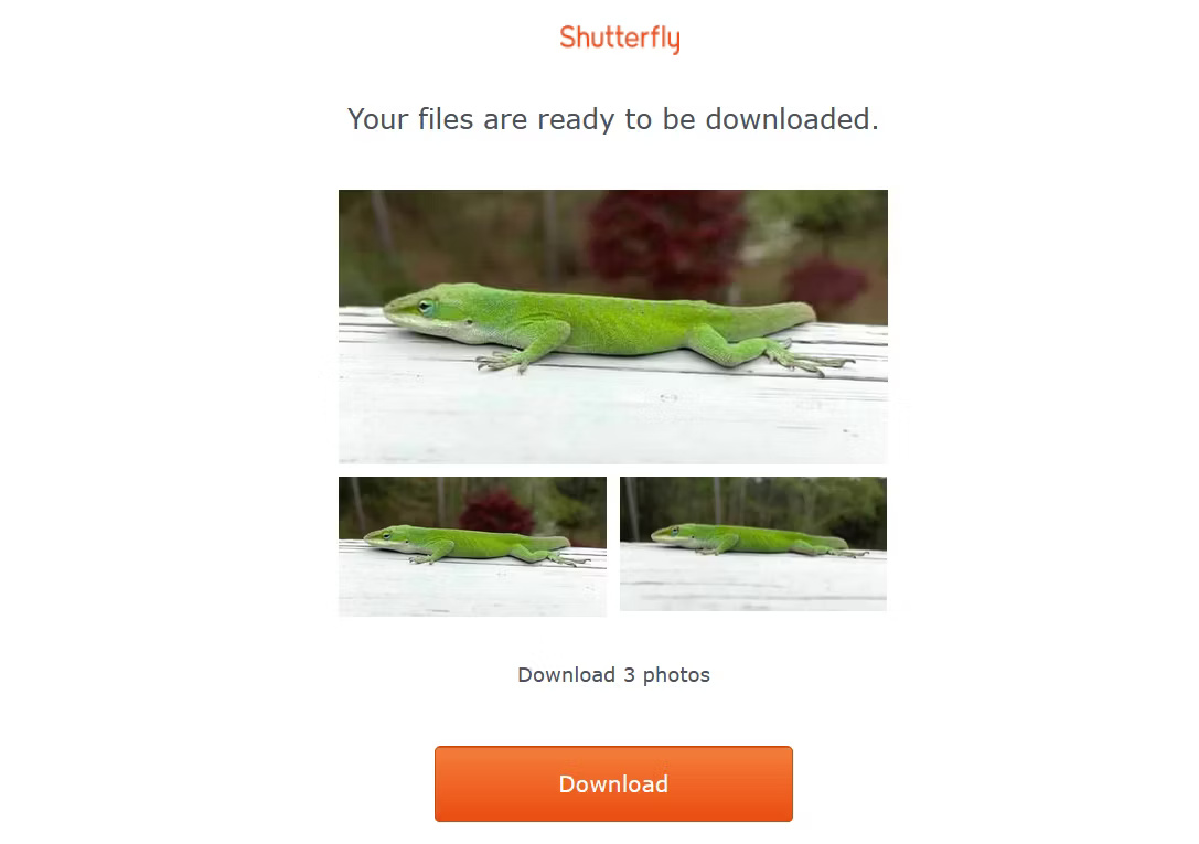How to bulk download all Shutterfly photos Picture 5