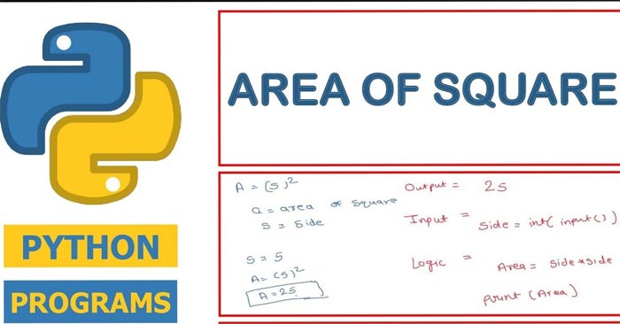 How to calculate the area of ​​a square in Python Picture 1