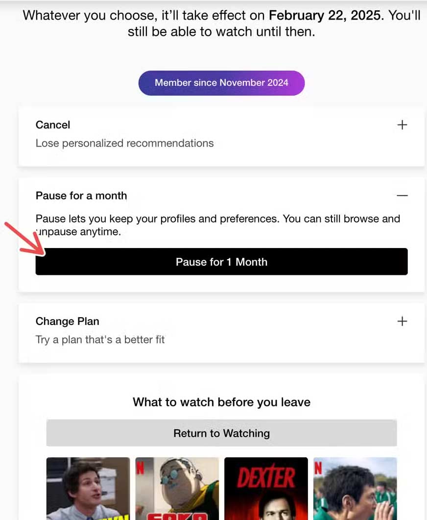 How to cancel or pause your Netflix subscription Picture 3
