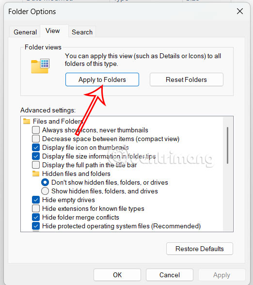 How to change the default view of File Explorer Windows 11 Picture 5