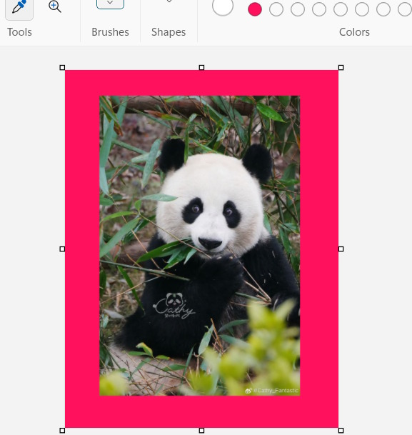 How to change the background color of an image in Paint on Windows 11 Picture 5