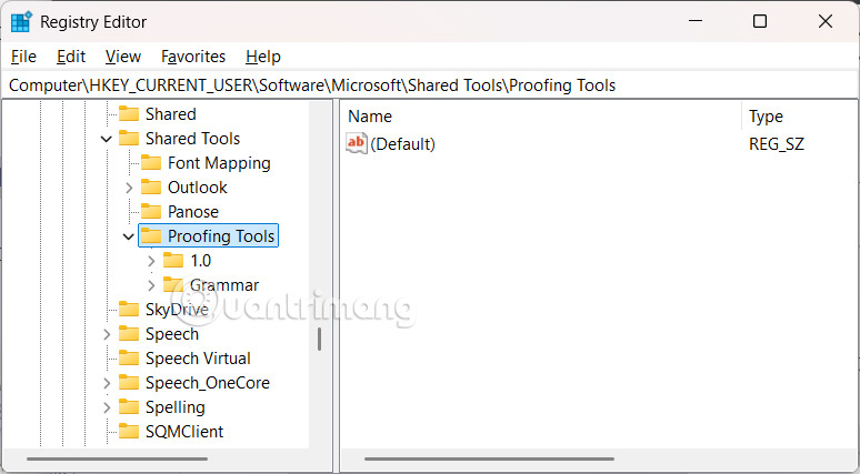How to change the underline color of Word spell check Picture 1