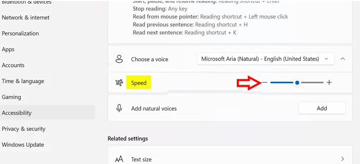 How to change voice speed Magnifier Windows 11 Picture 4