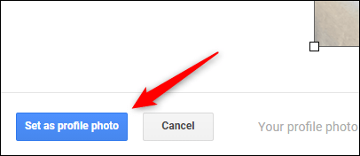 How to change your Google account profile picture Picture 5
