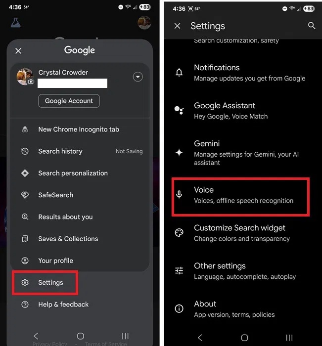 How to quickly change your voice on Google apps Picture 1