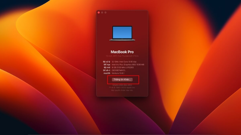 images 9 of How to check laptop storage capacity on Windows and MacBook