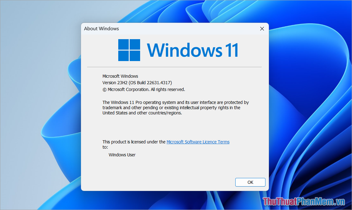 How to check Windows 11 version Picture 9