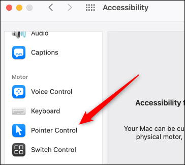 Picture 4 of How to control your Mac using head and face gestures.