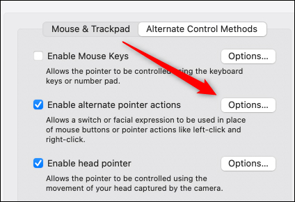 Picture 6 of How to control your Mac using head and face gestures.