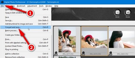 Picture 2 of How to convert CR2 images to JPEG using software or online.